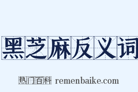 黑芝麻反义词是什么意思的图片